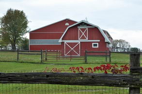Barn Arena - Country homes for sale and luxury real estate including horse farms and property in the Caledon and King City areas near Toronto